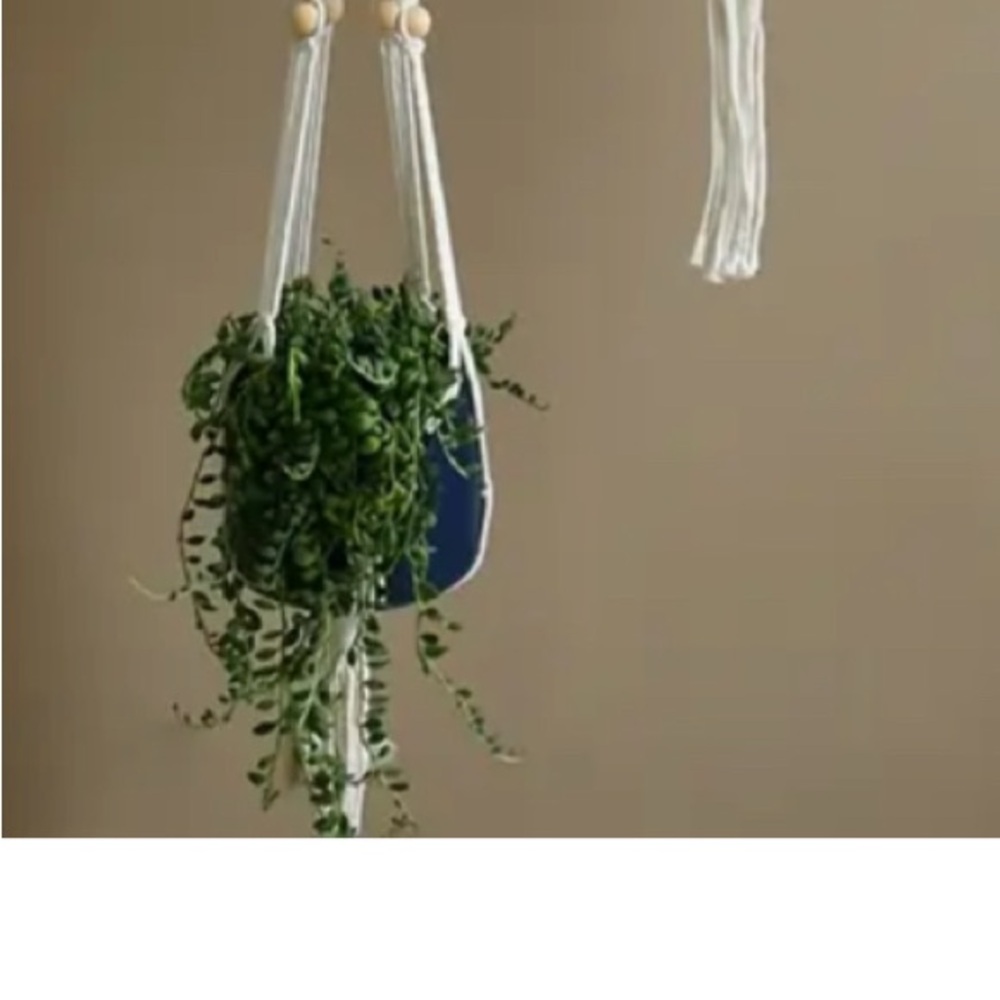 COPY - Macrame hanging Planter set